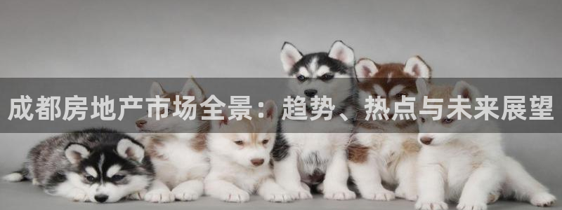 新宝5测登录：成都房地产市场全景：趋势、热点与未来展望