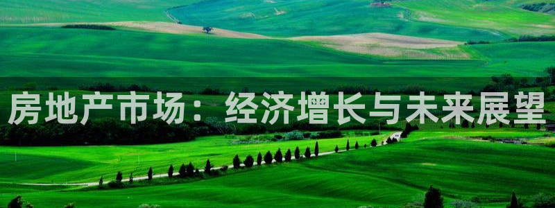 新宝5手机版：房地产市场：经济增长与未来展望