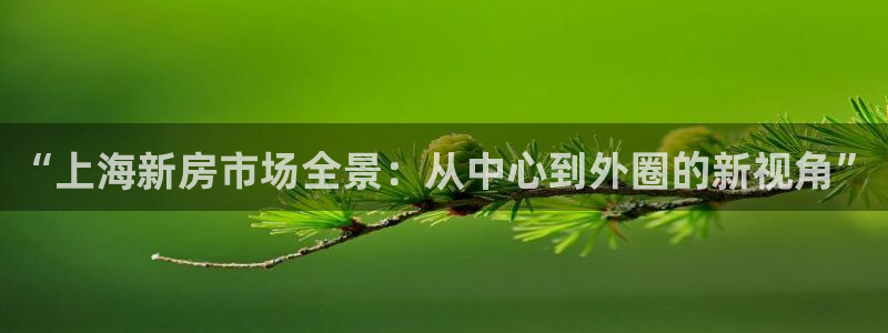 新宝5登录网址：“上海新房市场全景：从中心到外圈的新视角”