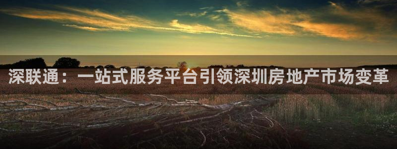 新宝测速5：深联通：一站式服务平台引领深圳房地产市场变革