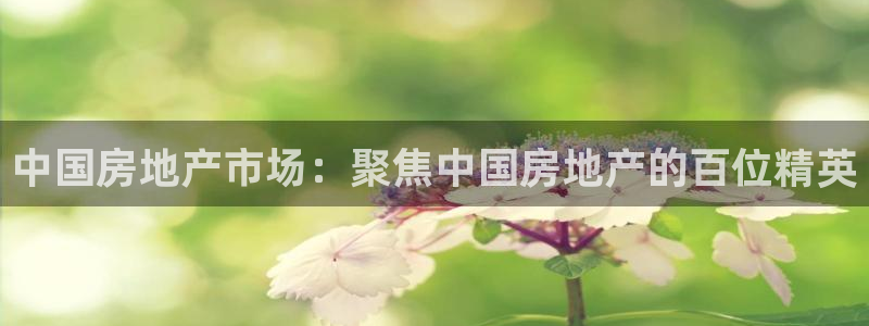 新宝5上来77542：中国房地产市场：聚焦中国房地产的百位精