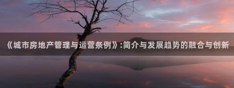 新宝5找找74OOO5：《城市房地产管理与运营条例》:简介与