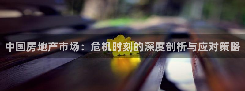 新5宝：中国房地产市场：危机时刻的深度剖析与应对策略
