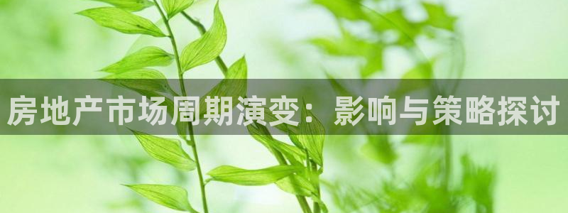 新宝5登录注册：房地产市场周期演变：影响与策略探讨