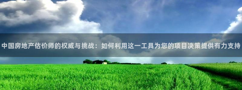 新宝5彩票娱乐平台：中国房地产估价师的权威与挑战：如何利用这