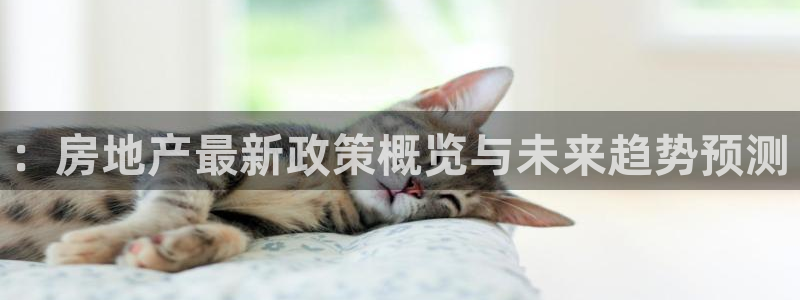 老新宝5授权登录：：房地产最新政策概览与未来趋势预测