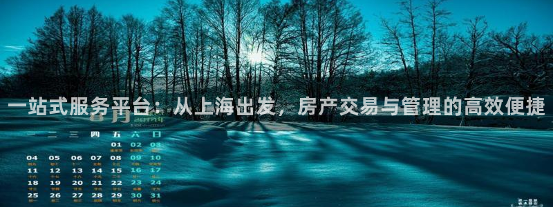 新宝5娱乐代理：一站式服务平台：从上海出发，房产交易与管理的