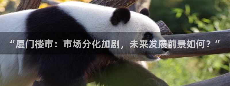 新宝5娱乐注册：“厦门楼市：市场分化加剧，未来发展前景如何？