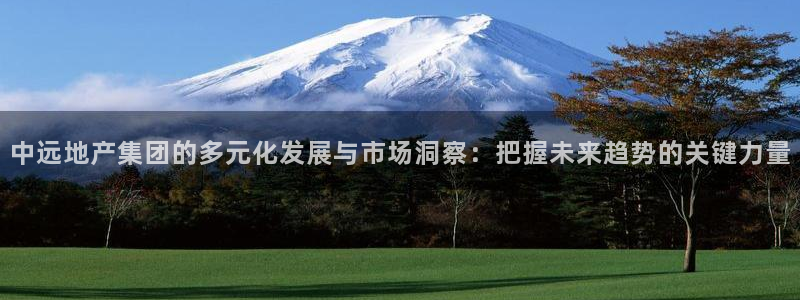 老新宝5授权登录：中远地产集团的多元化发展与市场洞察：把握未