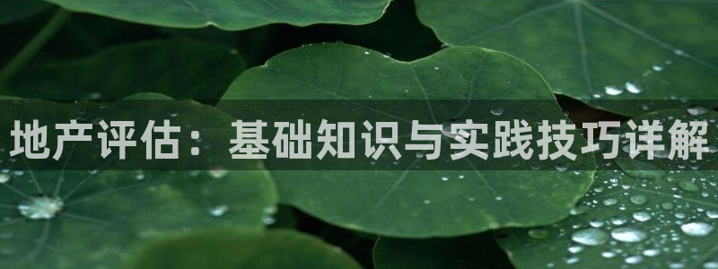 新宝5是什么样子的