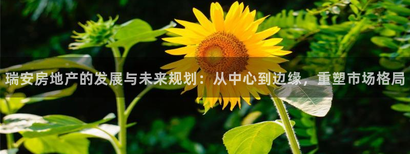新宝5娱乐多：瑞安房地产的发展与未来规划：从中心到边缘，重塑