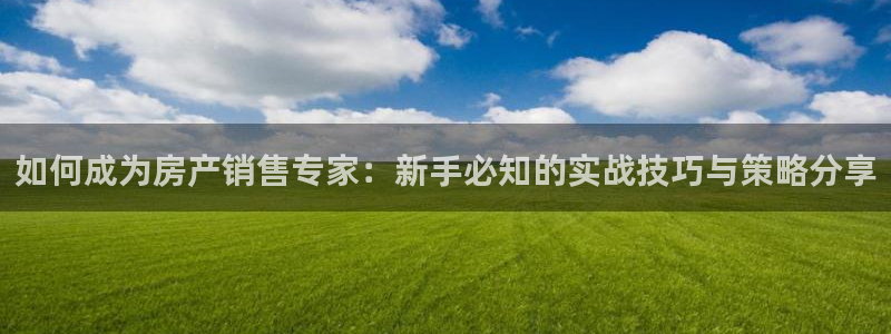 新宝5 测速：如何成为房产销售专家：新手必知的实战技巧与策略