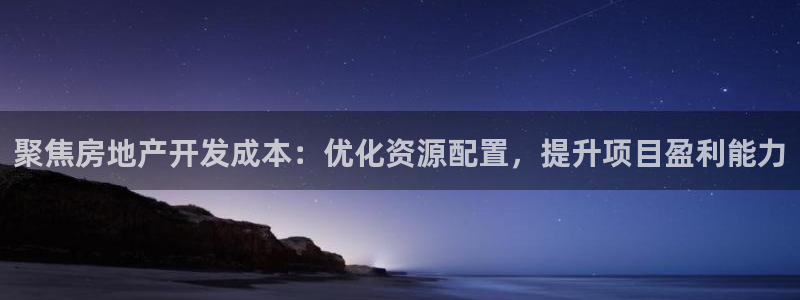 新宝新5：聚焦房地产开发成本：优化资源配置，提升项目盈利能力